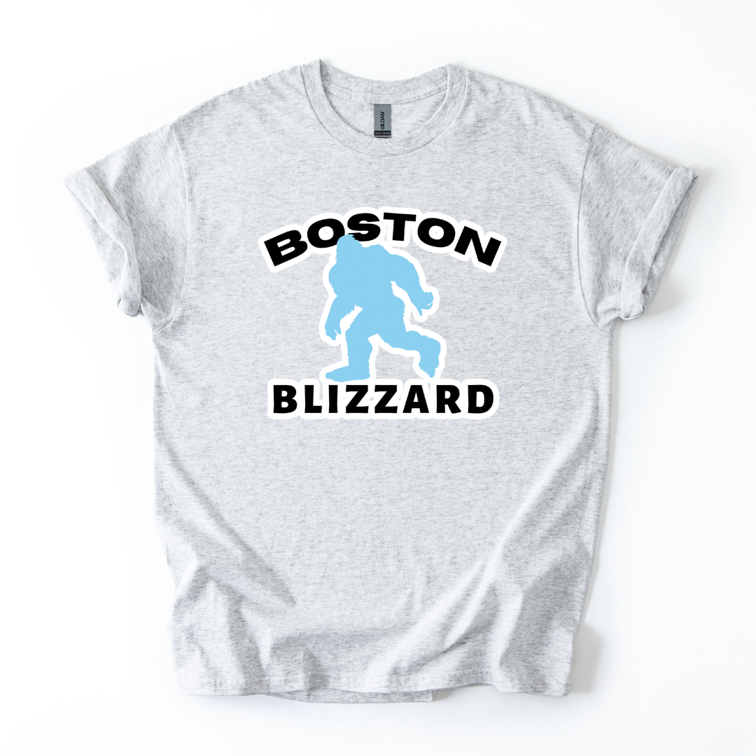Boston Blizzard Tee