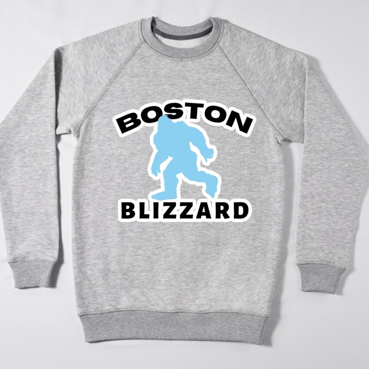 Boston Blizzard Crewneck